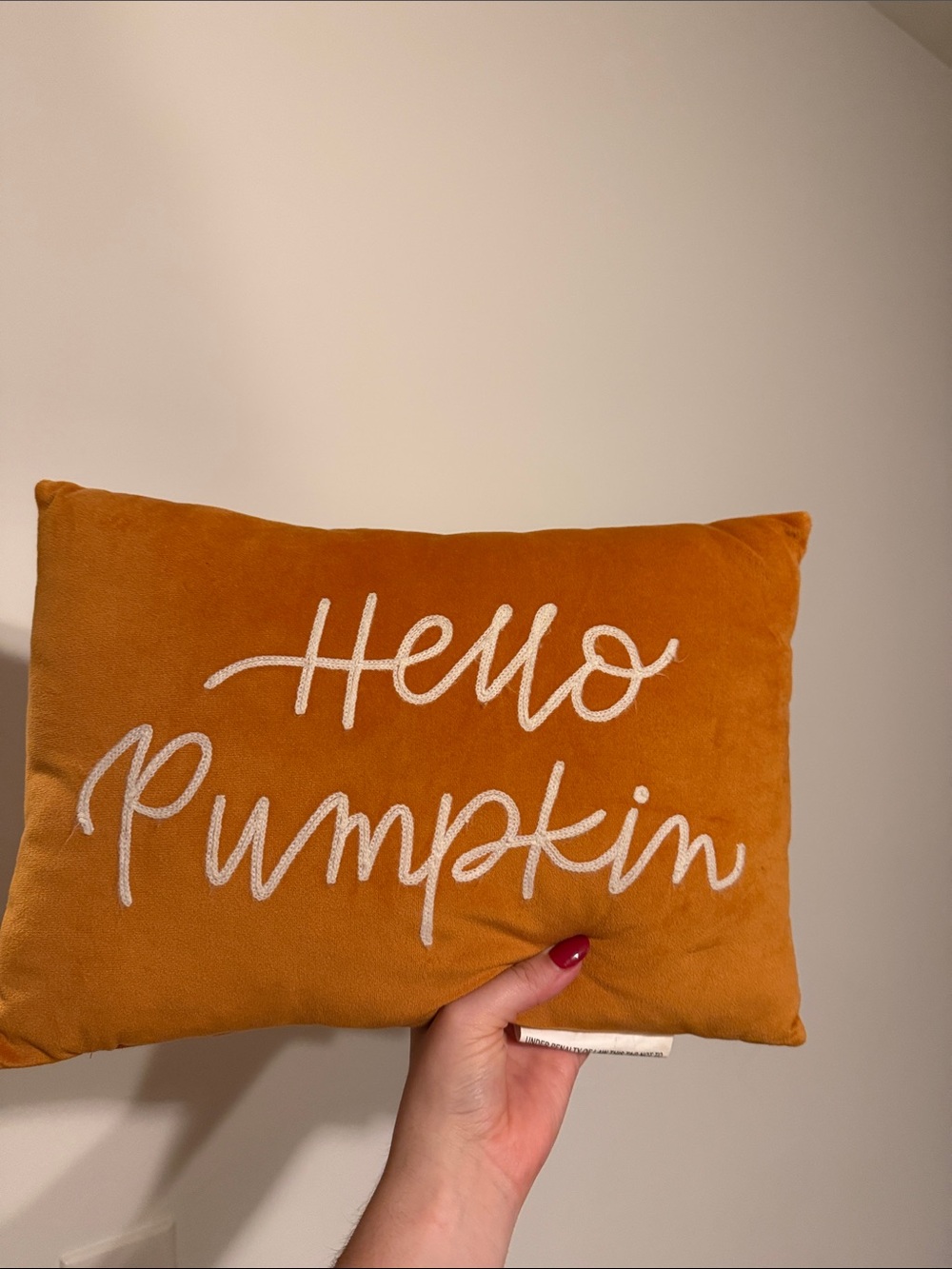 Fall Throw Pillow